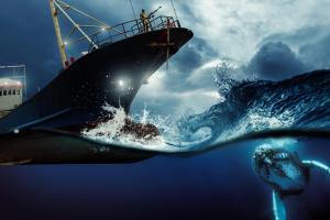 Helpline launched to deal with mental illness of Seafarers